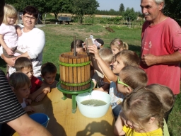 ovipfalu_20_20180901
